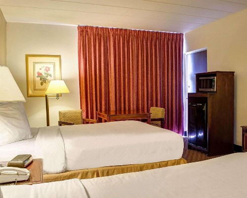 Quality Inn North - image 12