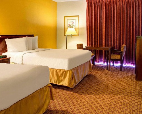 Quality Inn North - image 13