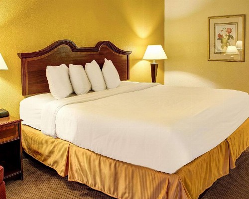Quality Inn North - image 14