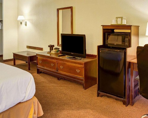 Quality Inn North - image 19