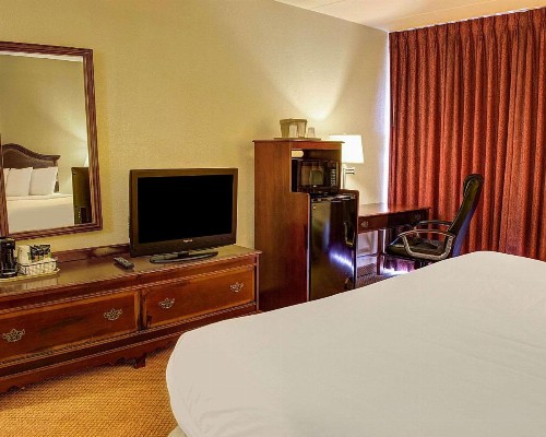 Quality Inn North - image 4