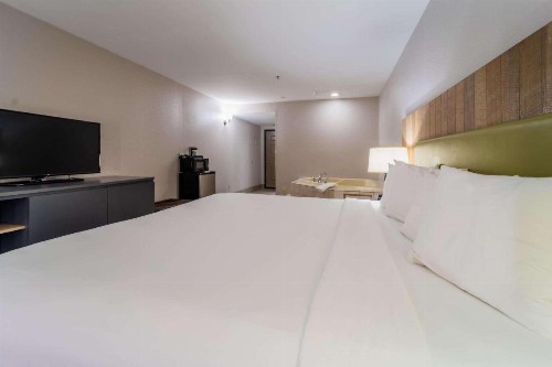 Country Inn & Suites by Radisson Richmond I-95 South VA - image 8