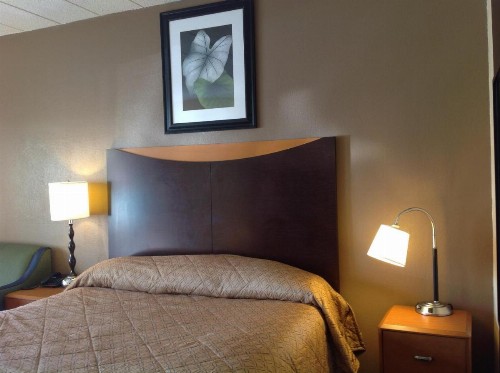 DIAMOND INN & SUITES - image 7