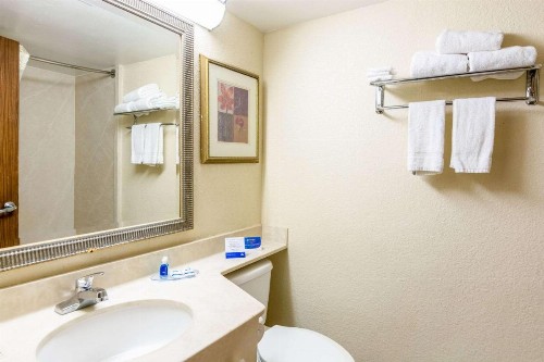 Rodeway Inn Central - image 7