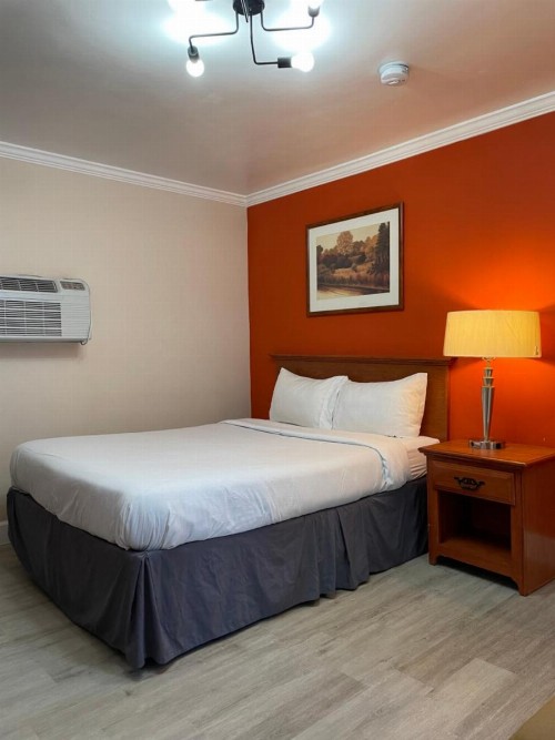 Oasis Inn & Suites - image 24