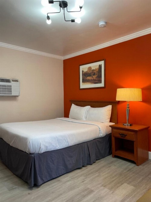 Oasis Inn & Suites - image 31