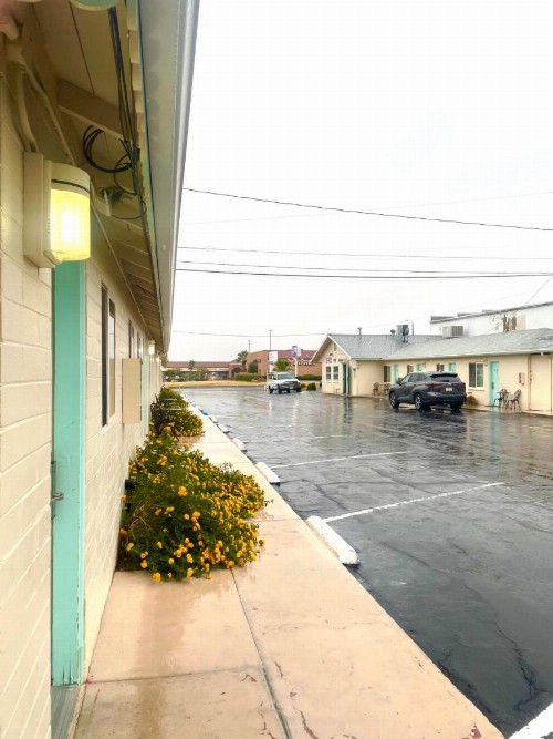 Oasis Inn & Suites - image 35