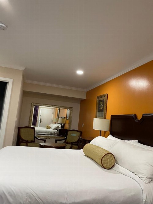 Oasis Inn & Suites - image 8