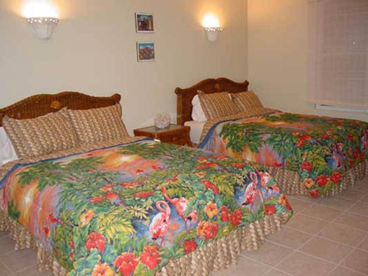 Dos Angeles del Mar Bed and Breakfast - image 2