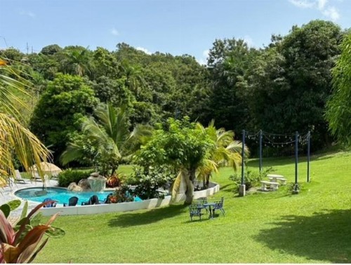 Carmeloria - image 12