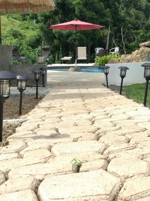 Carmeloria - image 5