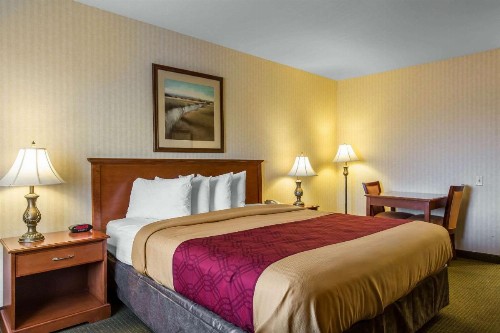 Econo Lodge Inn & Suites Riverside - Corona - image 10