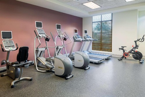 Hilton Garden Inn Tampa Riverview Brandon - image 17