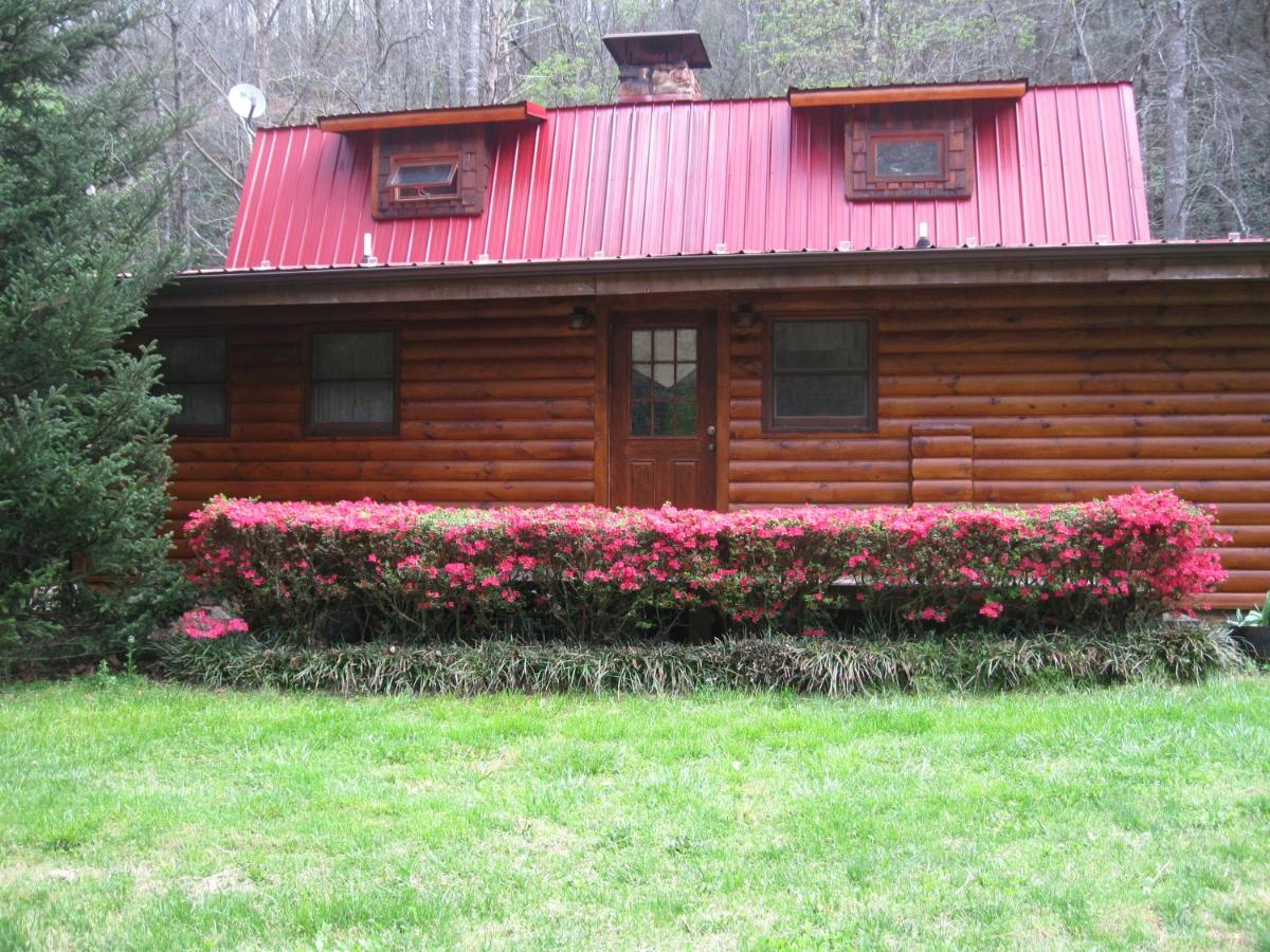 Buffalo Creek Bed and Breakfast - main image