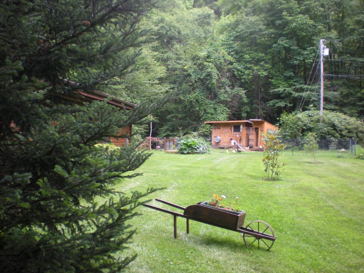 Buffalo Creek Bed and Breakfast - image 5