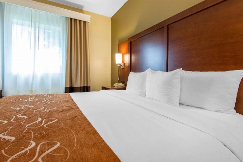 Comfort Suites Rochester - image 11