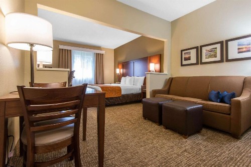Comfort Suites Rochester - image 13