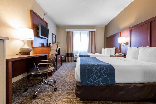 Comfort Suites Rochester - image 17