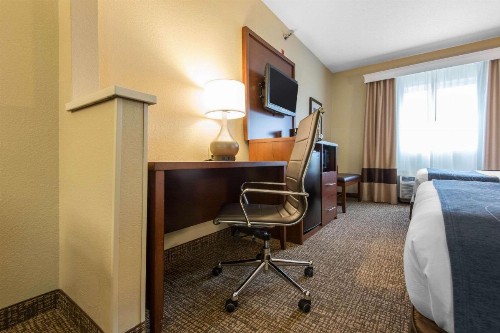 Comfort Suites Rochester - image 18