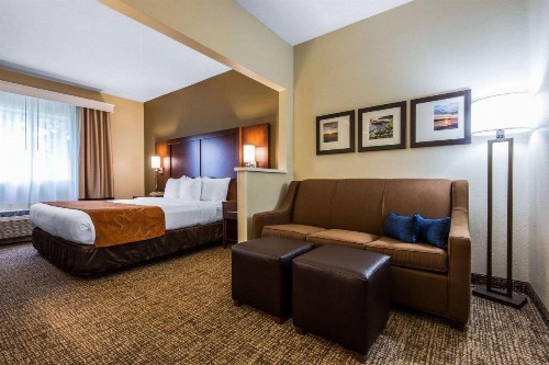 Comfort Suites Rochester - image 26