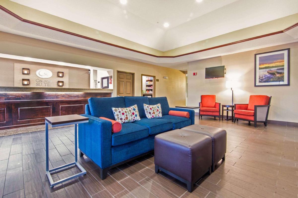 Comfort Suites Rochester - image 3