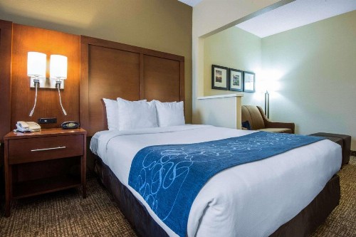 Comfort Suites Rochester - image 9