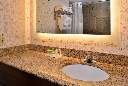 Holiday Inn Hotel & Suites Rochester - Marketplace an IHG Hotel - image 19