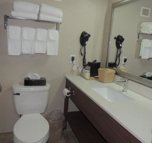 Quality Inn - image 26