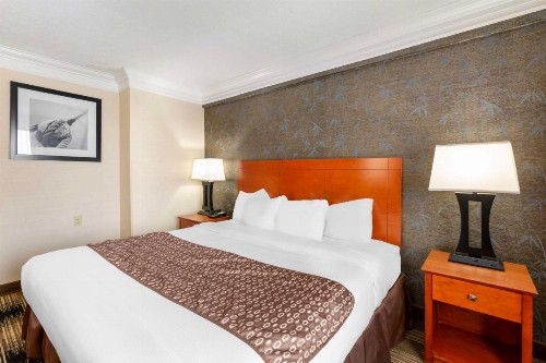 Best Western Inn at the Rochester Airport - image 11