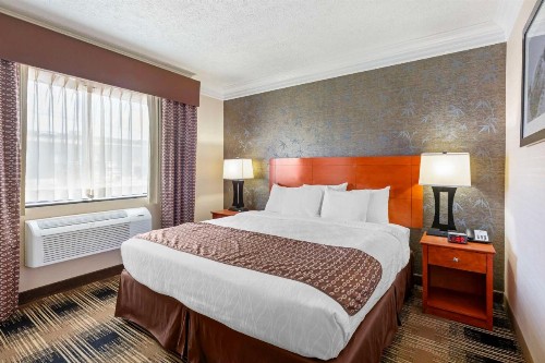 Best Western Inn at the Rochester Airport - image 16