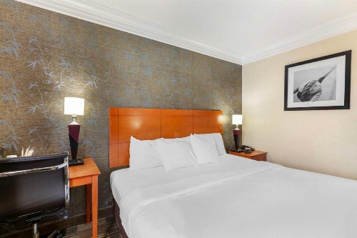 Best Western Inn at the Rochester Airport - image 6