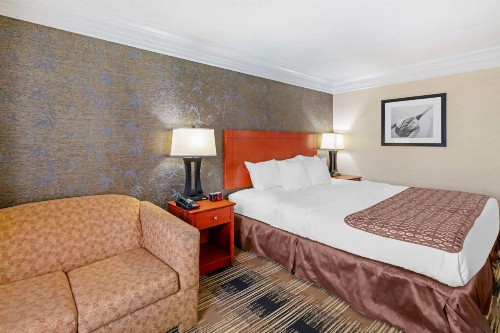 Best Western Inn at the Rochester Airport - image 9