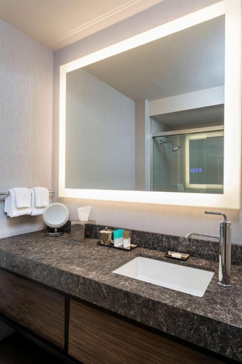 Hyatt Regency Rochester - image 17