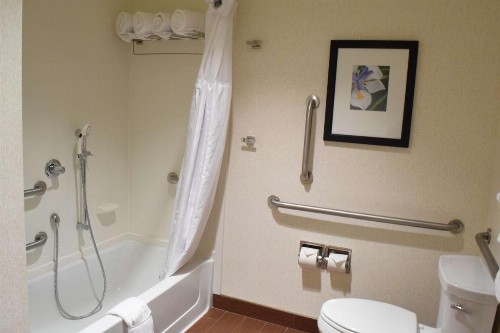 Hilton Garden Inn Rochester Downtown - image 13