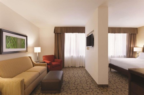 Hilton Garden Inn Rochester Downtown - image 31