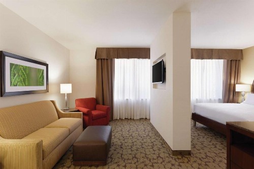 Hilton Garden Inn Rochester Downtown - image 48