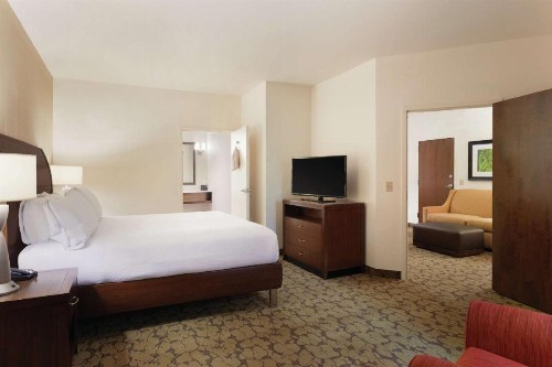 Hilton Garden Inn Rochester Downtown - image 49
