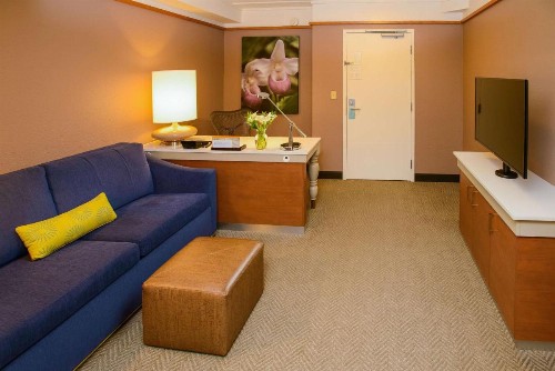 Hilton Garden Inn Rochester Downtown - image 15