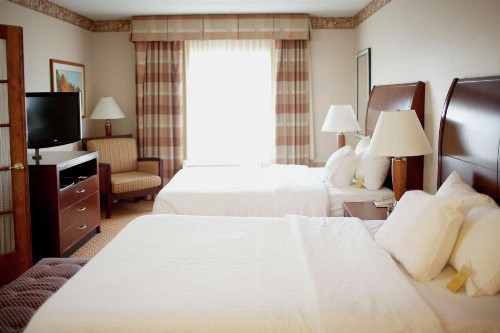 Hilton Garden Inn Rochester Downtown - image 25
