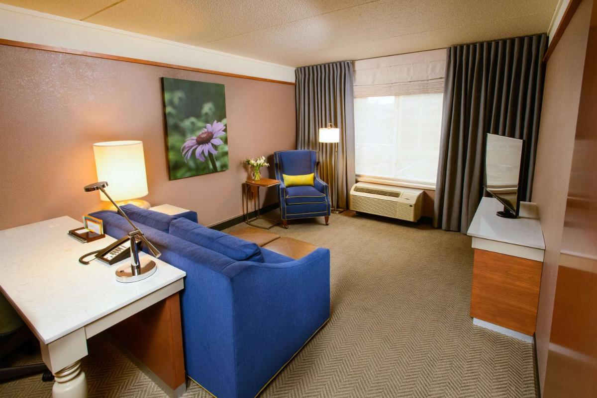 Hilton Garden Inn Rochester Downtown - image 6