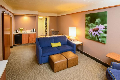 Hilton Garden Inn Rochester Downtown - image 7