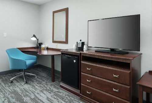 Hampton Inn & Suites Rochester-North - image 19