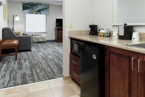 Hampton Inn & Suites Rochester-North - image 40