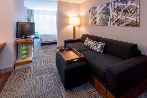 SpringHill Suites Rochester Mayo Clinic Area / Saint Marys