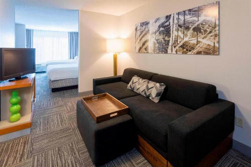 SpringHill Suites Rochester Mayo Clinic Area / Saint Marys - image 11