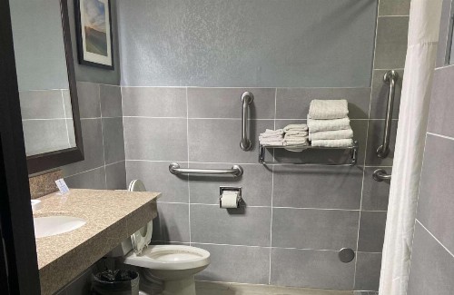 Best Western Rochester Hotel Mayo Clinic Area/ St. Mary's - image 20