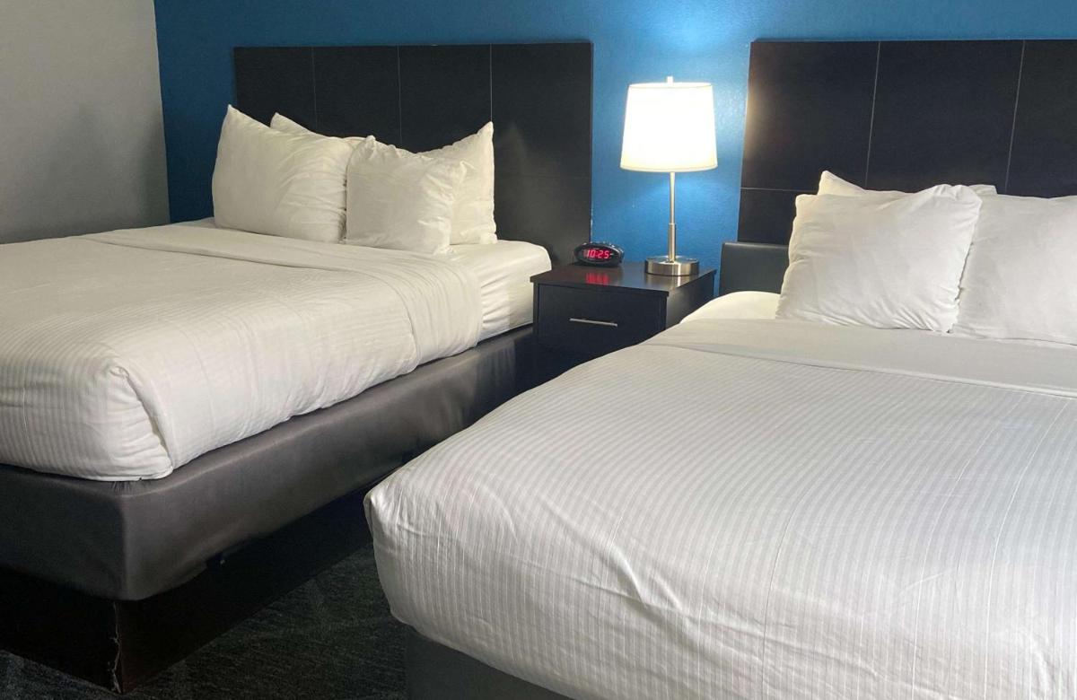 Best Western Rochester Hotel Mayo Clinic Area/ St. Mary's - image 4