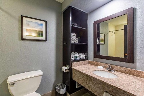 Best Western Rochester Hotel Mayo Clinic Area/ St. Mary's - image 43
