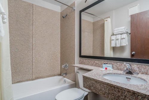 Microtel Inn & Suites by Wyndham Rochester North Mayo Clinic - image 7