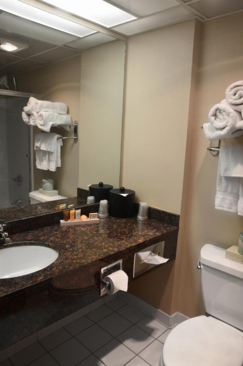 Centerstone Plaza Hotel Soldiers Field - Mayo Clinic Area - image 20